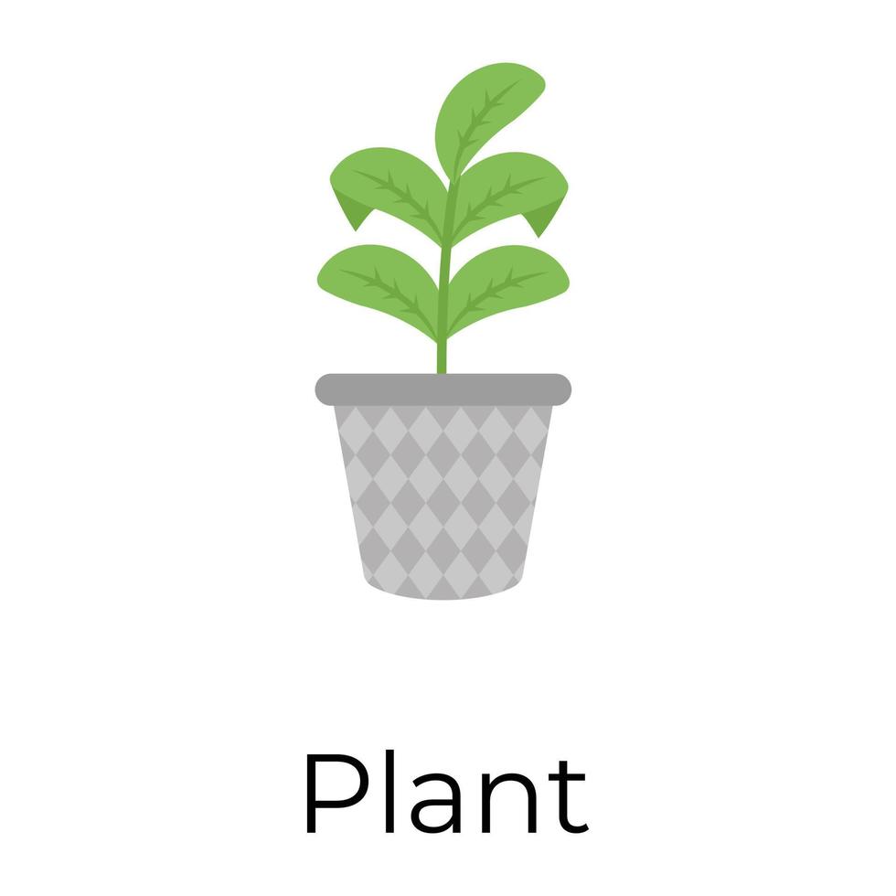 Trendy Plant Concepts vector
