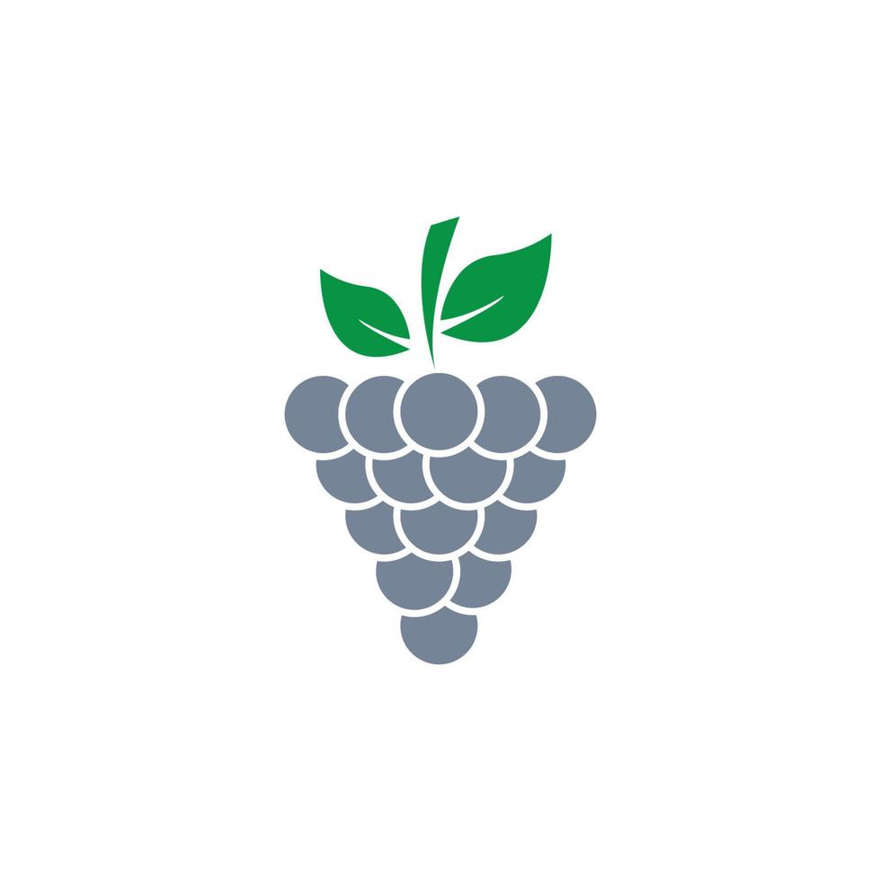 Grapes icon vector illustration design template