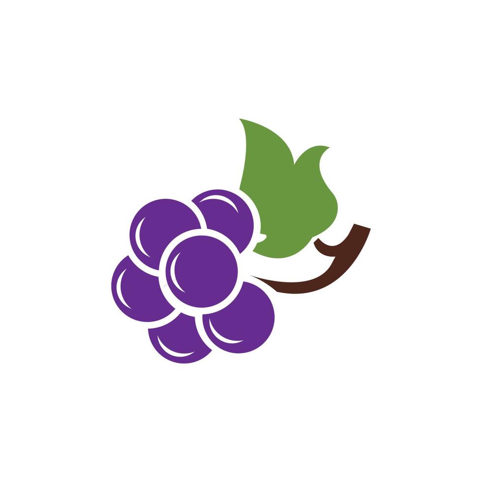 plantilla de diseño de ilustración de vector de icono de uvas