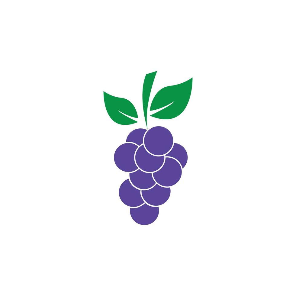 plantilla de diseño de ilustración de vector de icono de uvas