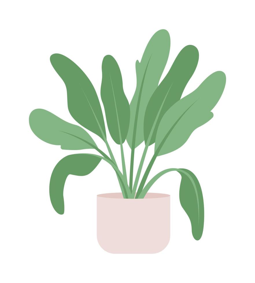 planta de gran tamaño para el objeto vectorial de color semiplano de la sala de estar. elemento editable. artículo de tamaño completo en blanco. decoración ilustración de estilo de dibujos animados simple para diseño gráfico web y animación vector