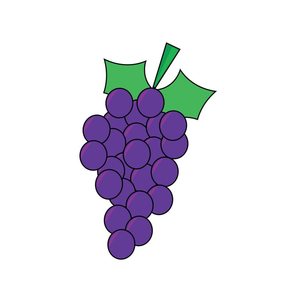 Fruit series vector, cute grape fruit vector. Great for learning for kids as well as as icons. vector