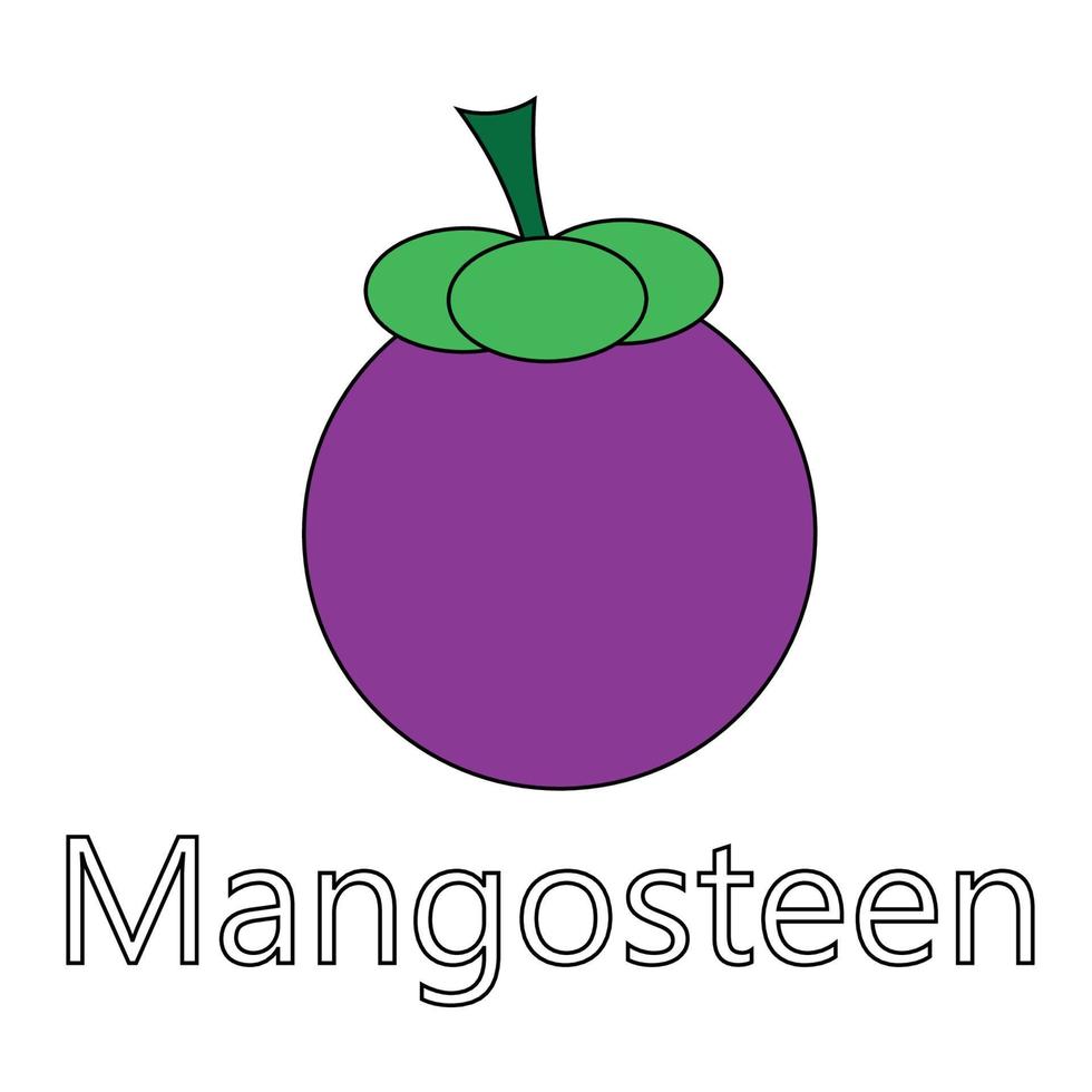 vector de serie de frutas, lindo vector de frutas de mangostán. ideal para el aprendizaje de los niños, así como para los iconos.