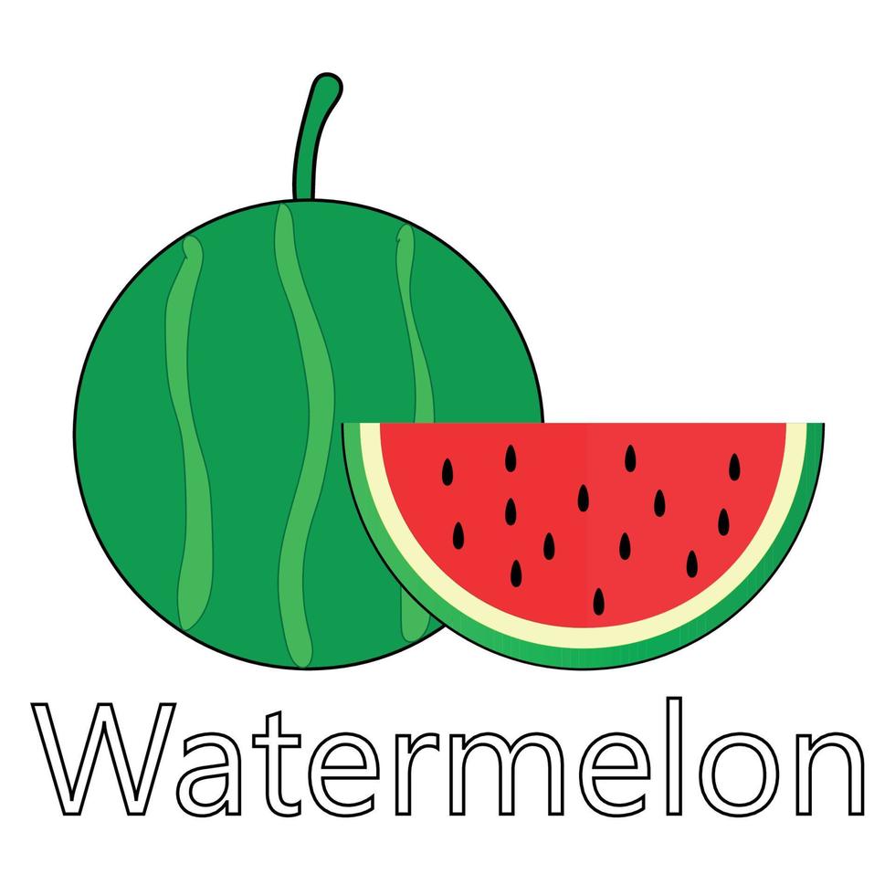 Fruit series vector, cute watermelon fruit vector. Great for learning for kids as well as as icons. vector