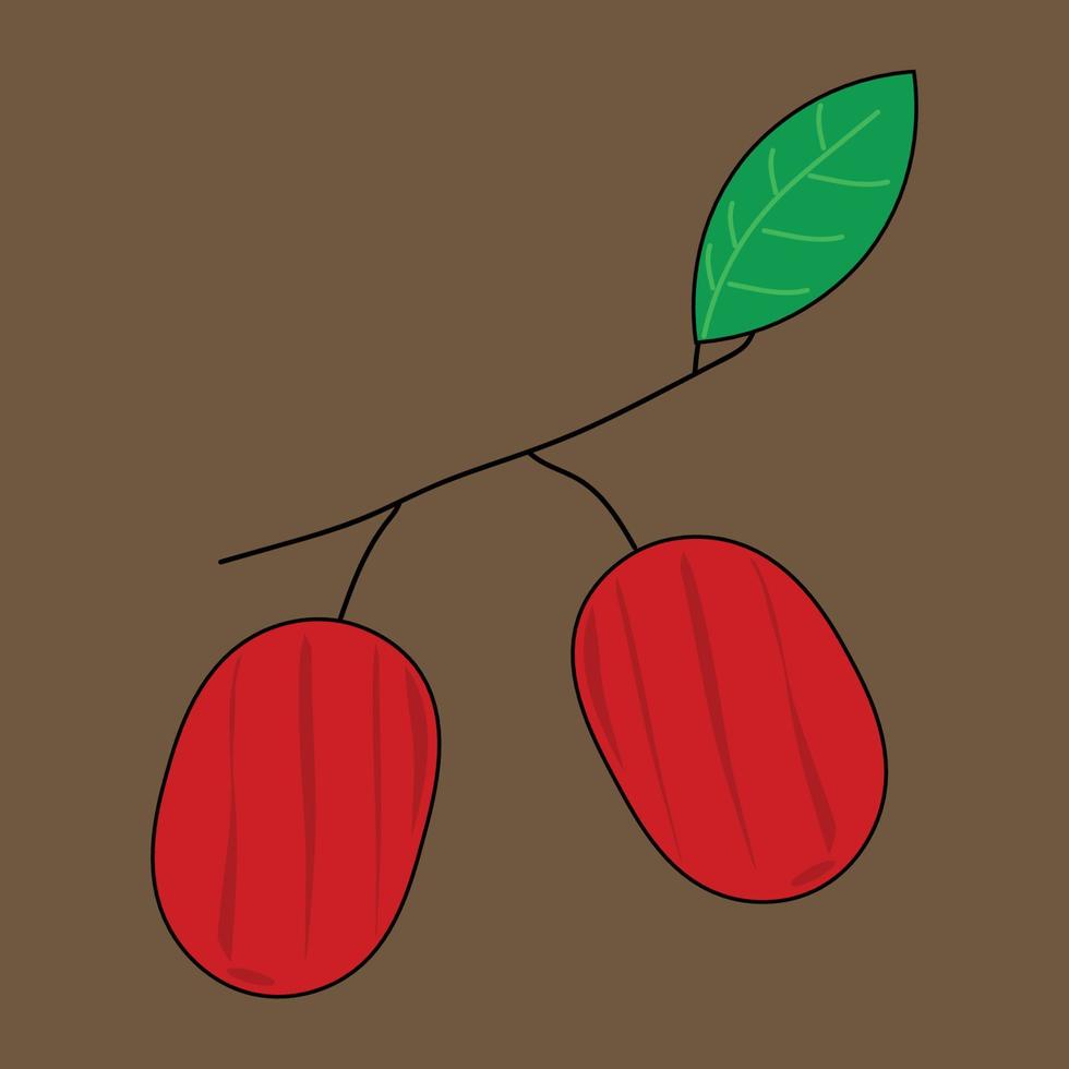 Fruit series vector, cute jujube fruit vector. Great for learning for kids as well as as icons. vector