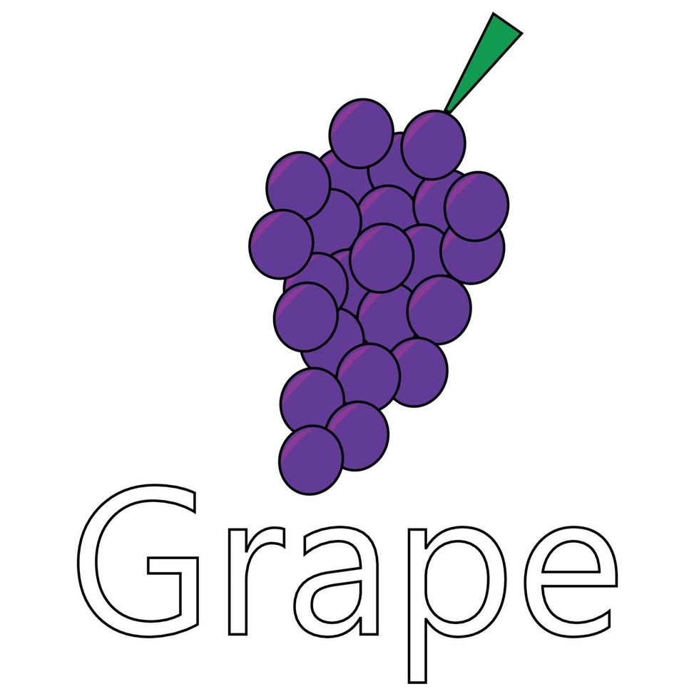 Fruit series vector, cute grape fruit vector. Great for learning for kids as well as as icons. vector