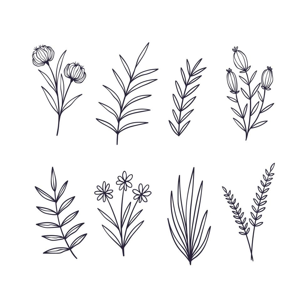 Set of hand drawn botanical flower elements. Vector illustration isolated on white background