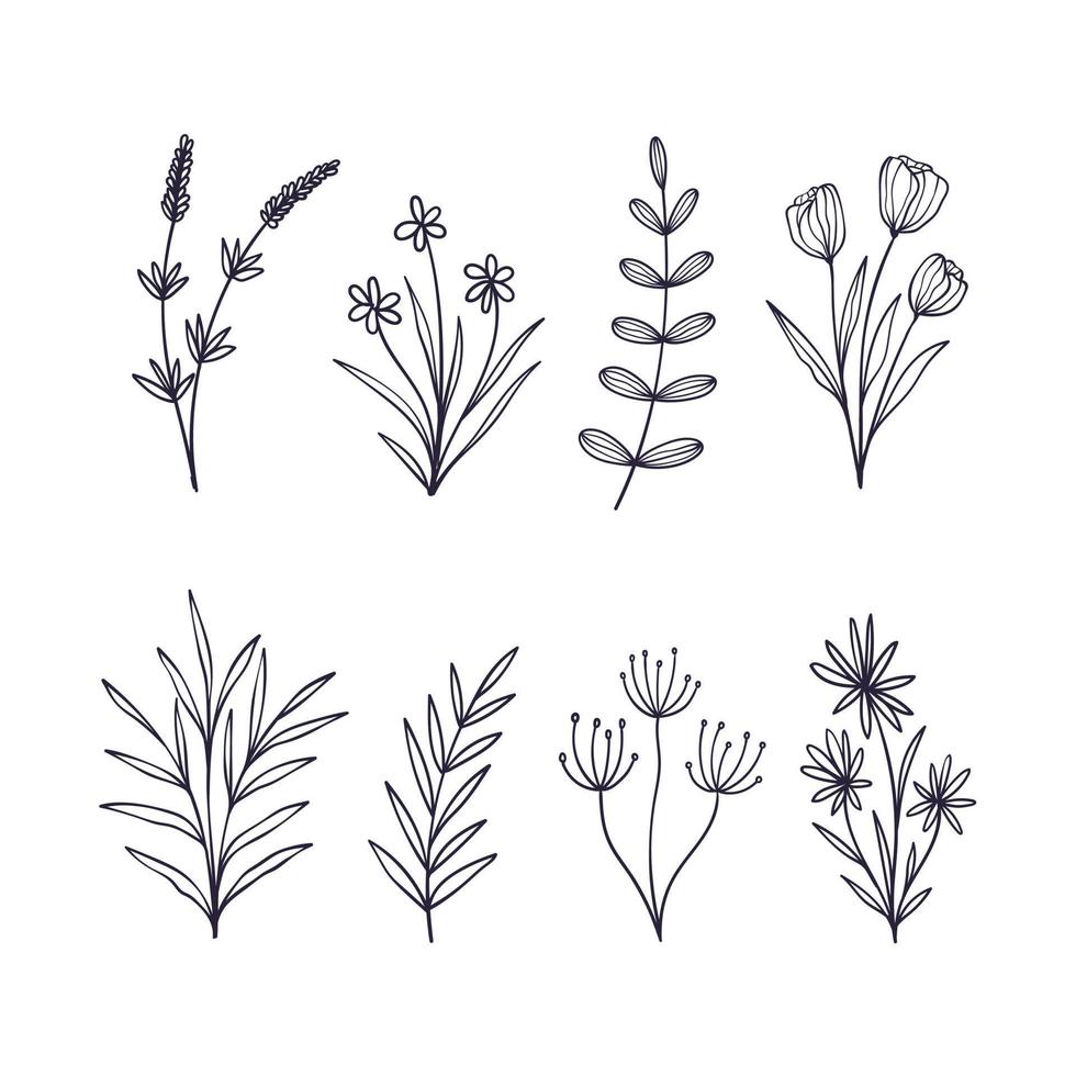 Set of hand drawn botanical flower elements. Vector illustration isolated on white background