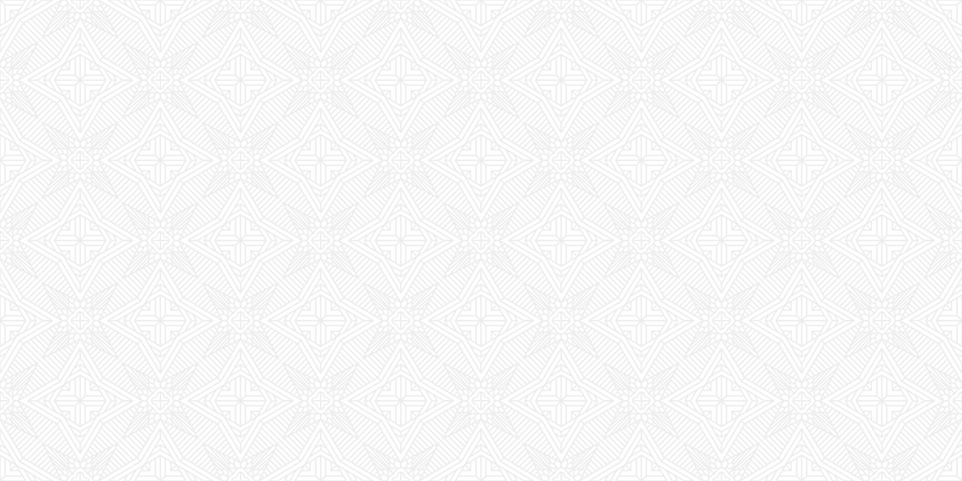 modern ethnic gray line vector