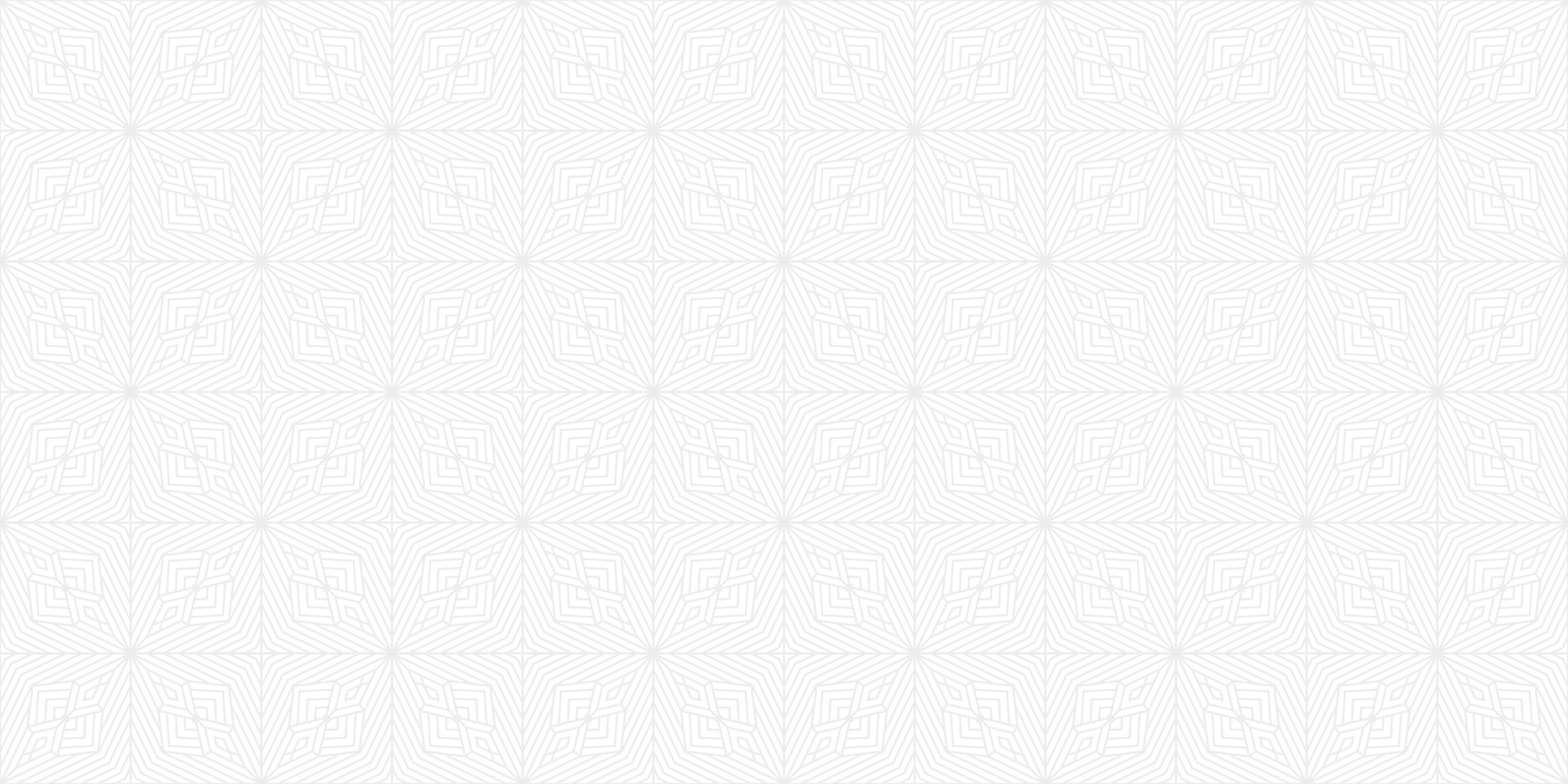 modern ethnic gray line vector