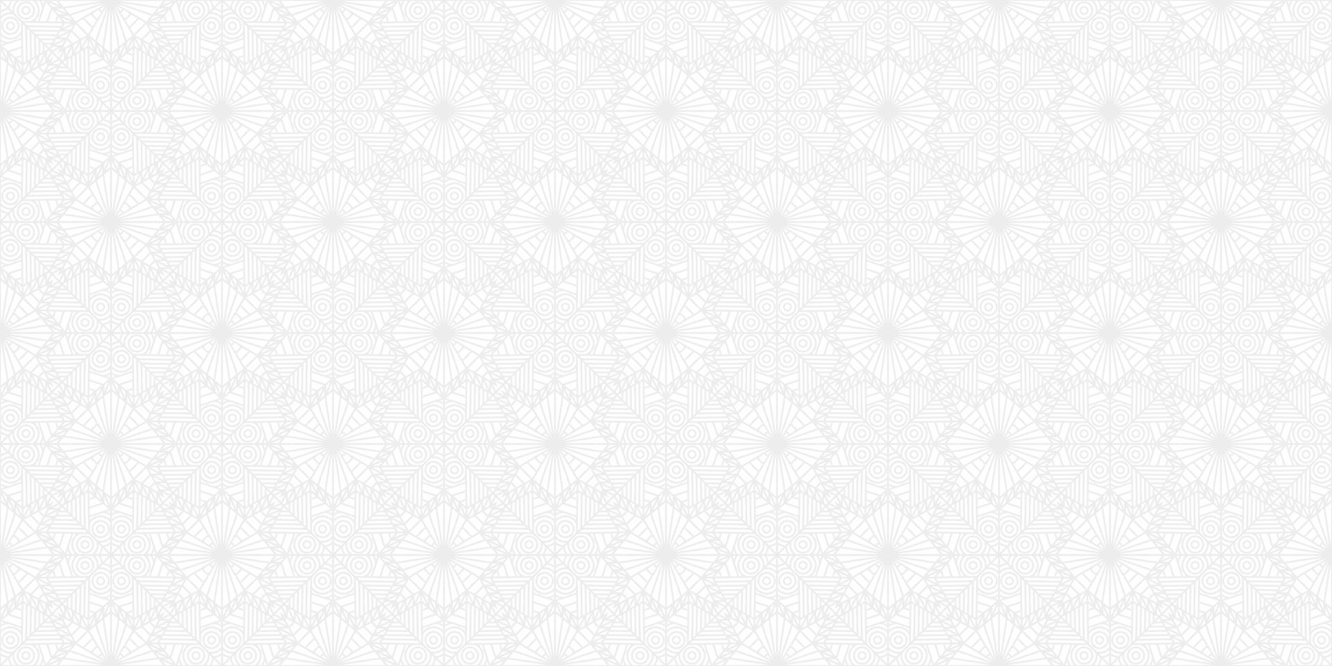 modern ethnic gray line vector
