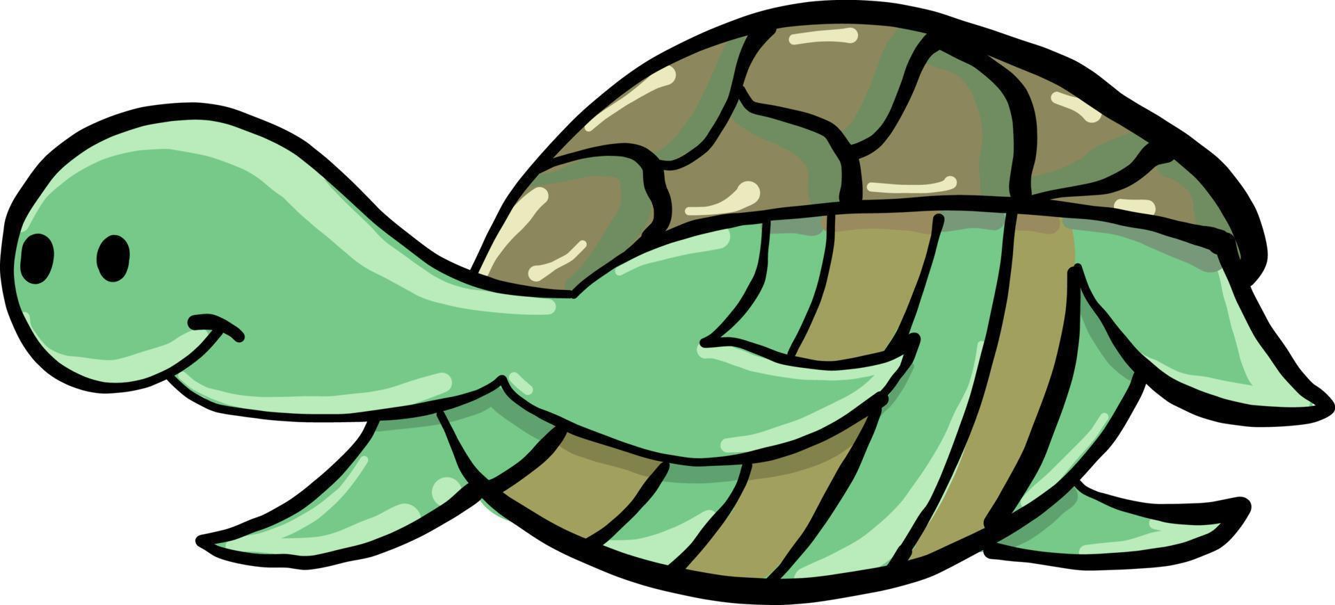 tortuga verde, ilustración, vector sobre fondo blanco.