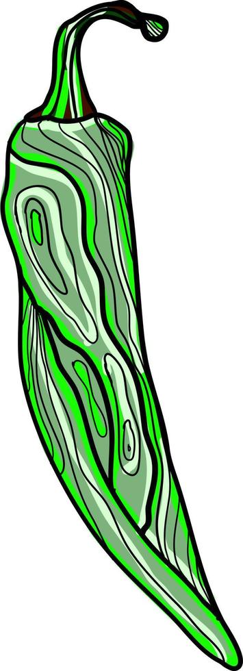 Green pepper, illustration, vector on white background.