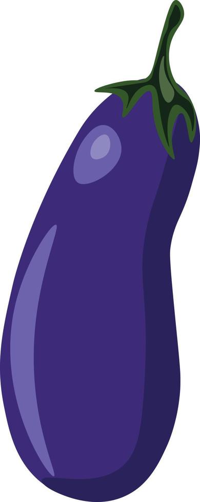 Fresh eggplant, illustration, vector on white background.