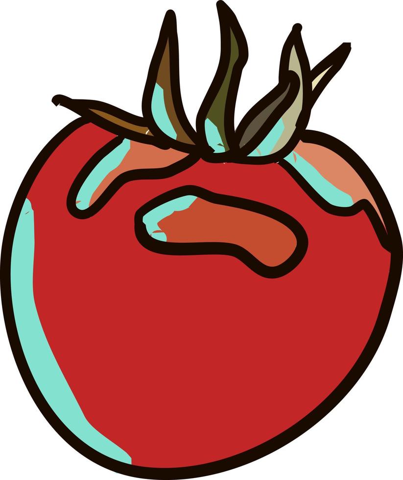 tomate plano, ilustración, vector sobre fondo blanco.