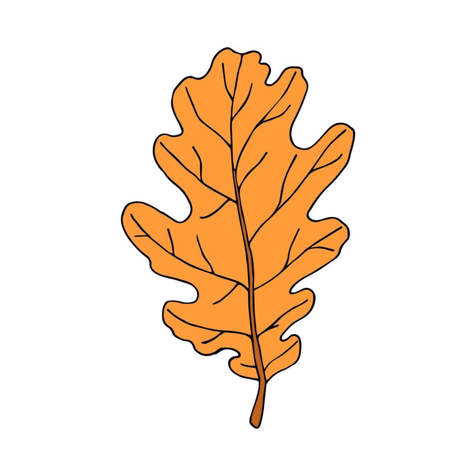 Fallen oak leaf in cartoon style. Vector illustration isolated on white background