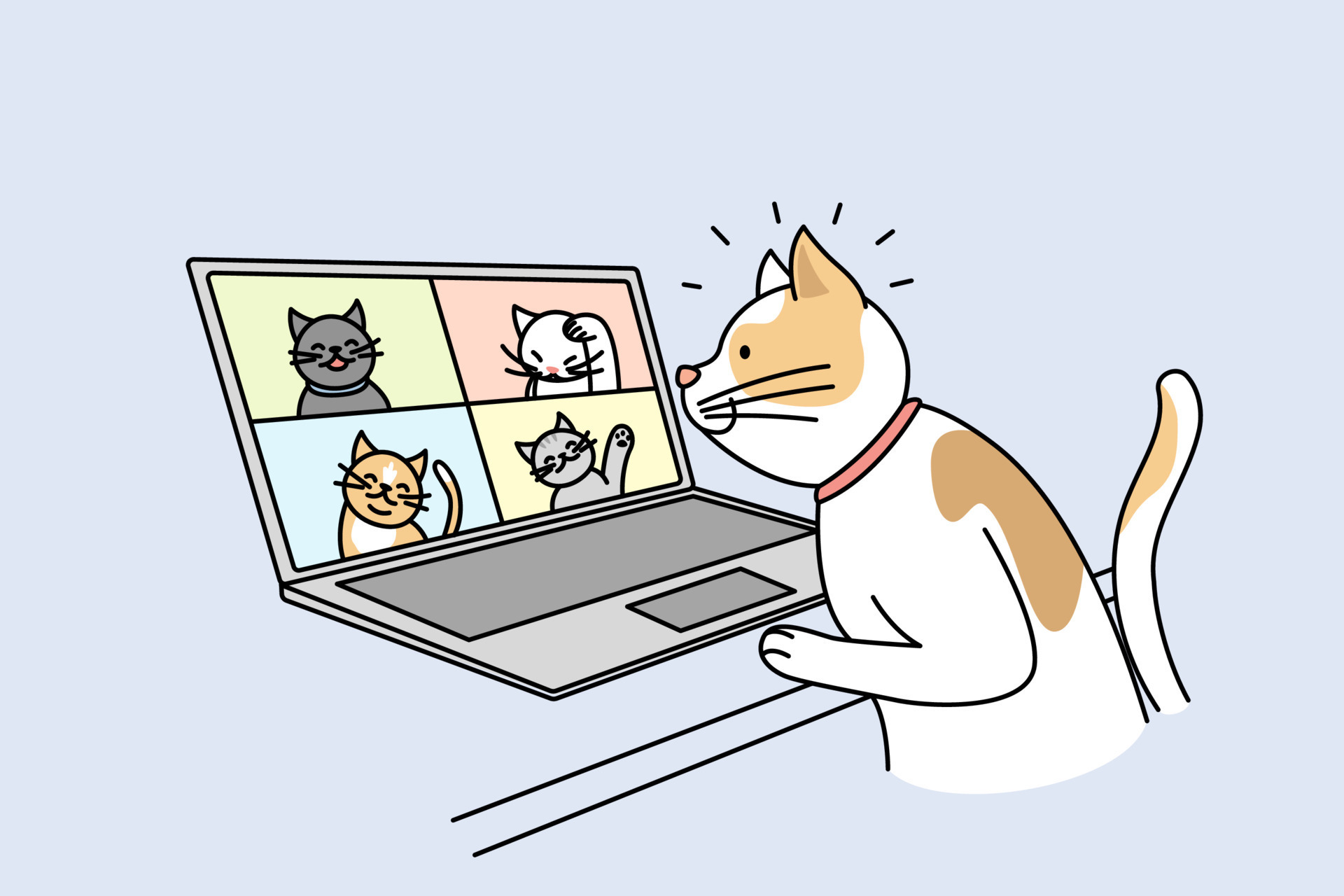 Cute cat talk on video call with cats on computer. Pet have webcam conversation on laptop with