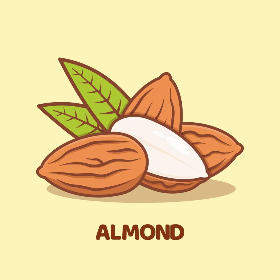Almond cartoon vector icon illustration isolated