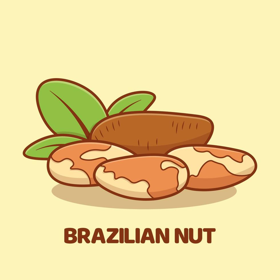 Brazilian nut cartoon vector icon illustration isolated
