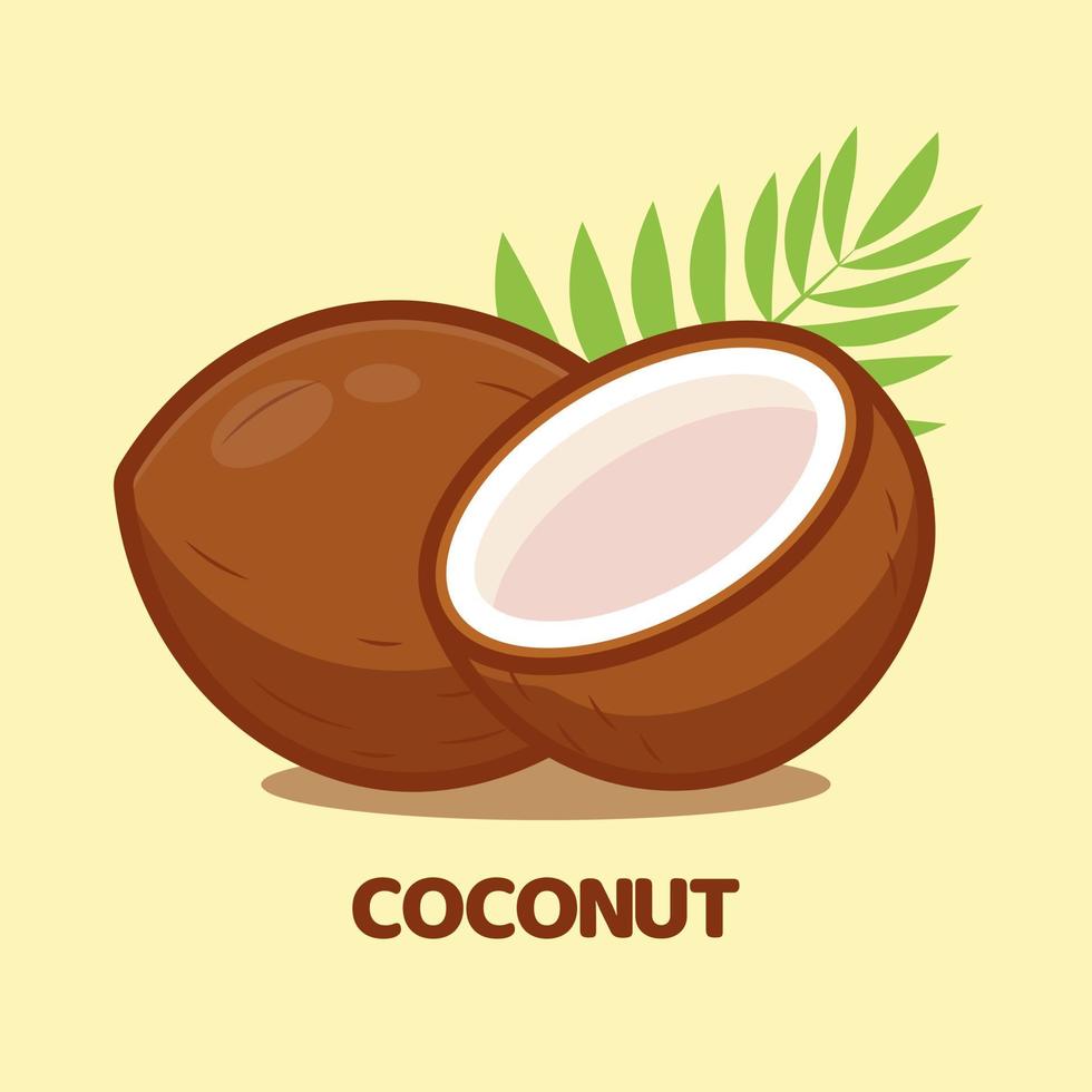 Coconut cartoon vector icon illustration isolated