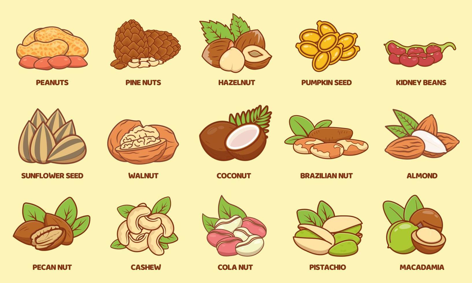 Nuts and seeds flat cartoon vector icon illustration