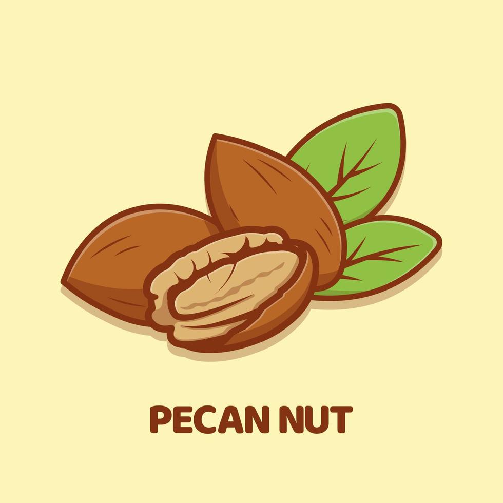 Pecan Nut cartoon vector icon illustration isolated