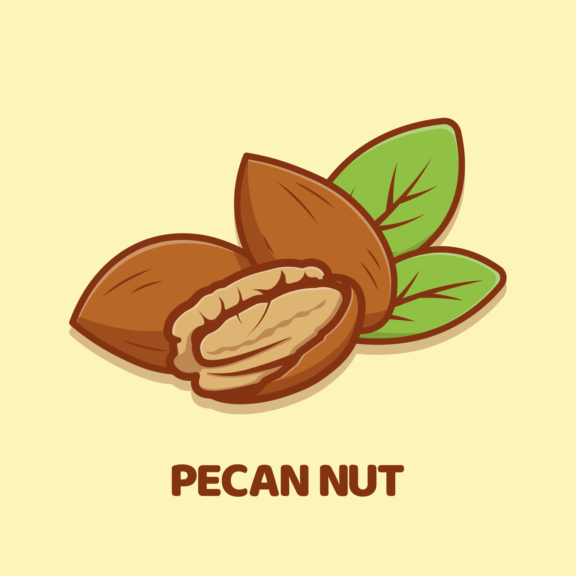 Pecan Nut cartoon vector icon illustration isolated 13708106 Vector Art