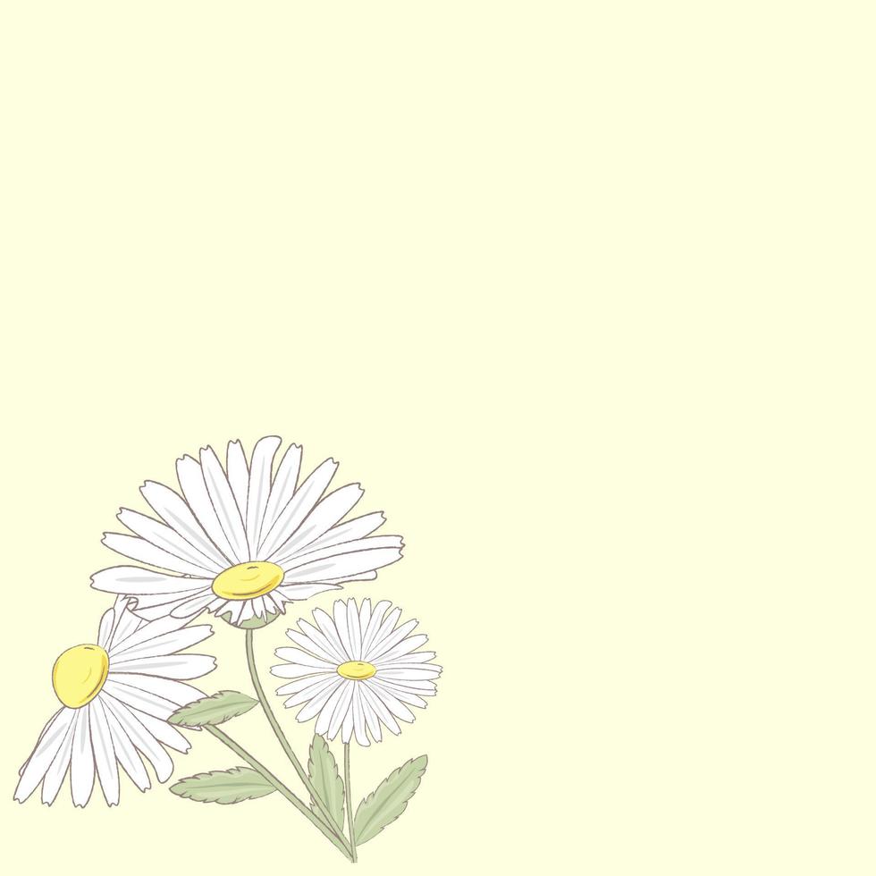 yellow background with chamomile flower vector