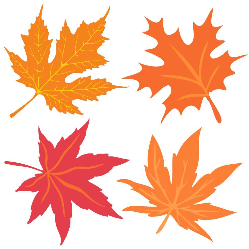 hojas de otoño sobre un fondo blanco. caída de hojas de otoño, hojas amarillentas. vector