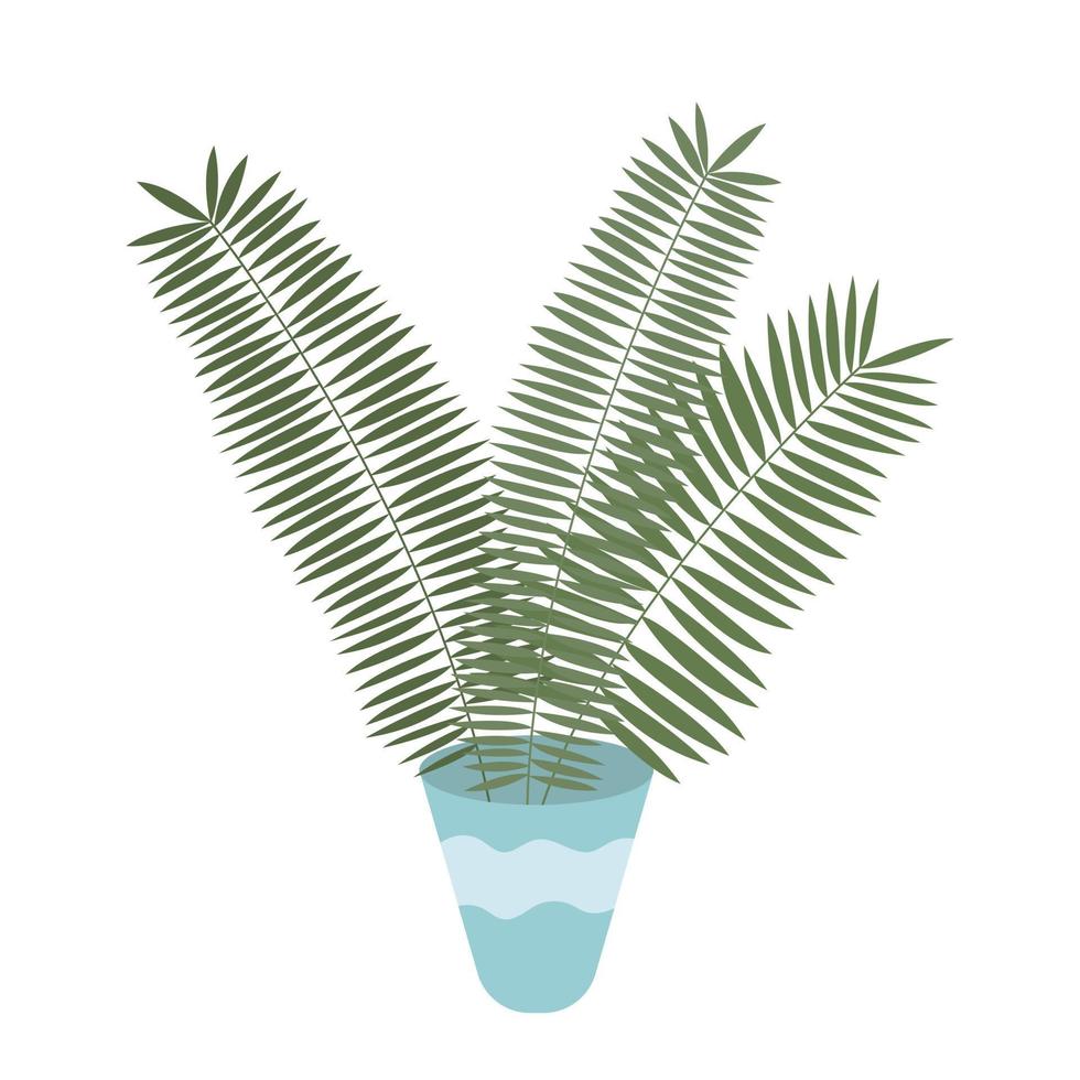 Vector flat home palm tree in pot illustration