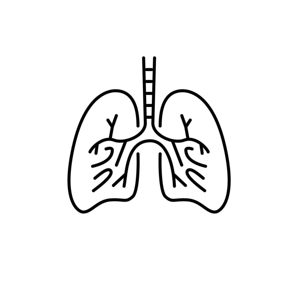 Outline lungs design silhouette. Logo design. Hand drawn minimalist lungs vector