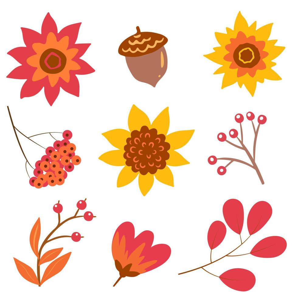 Autumn leaves, flowers and berries on a white background. Autumn leaf fall, yellowing leaves. vector