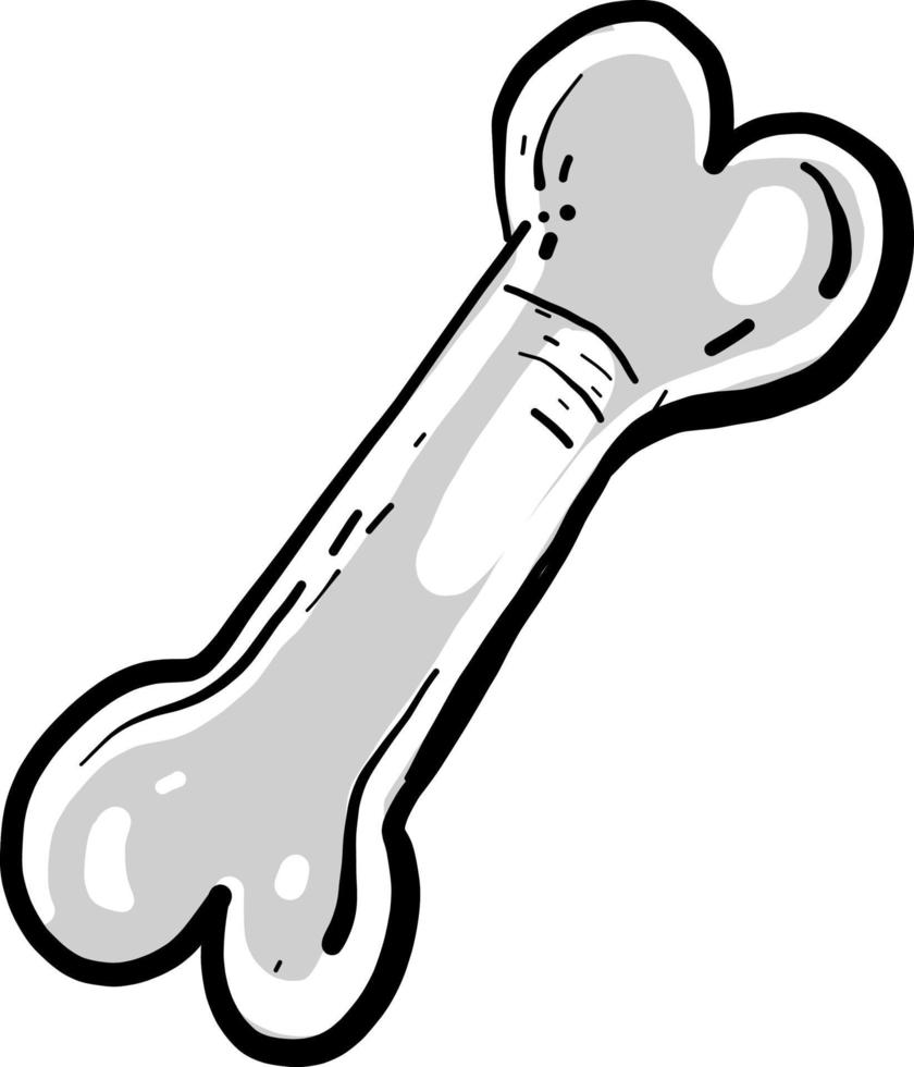 Long white bone, illustration, vector on white background.