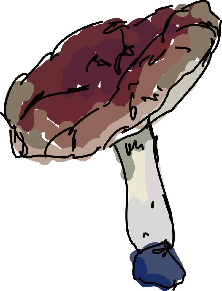 Mushroom, illustration, vector on white background.