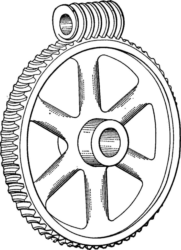 Worm Drive, vintage illustration. vector