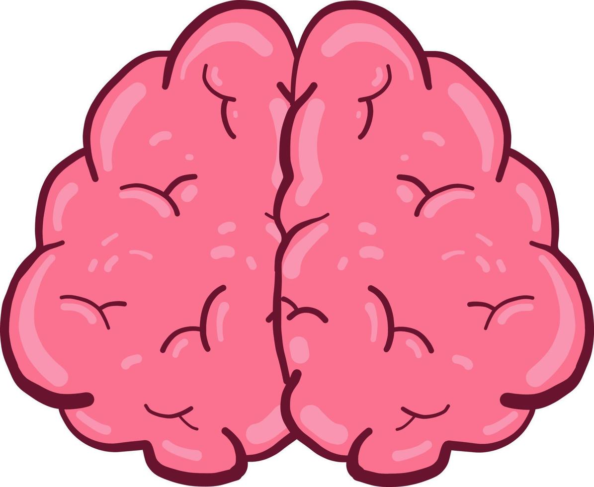 Interesting brain, illustration, vector on white background.