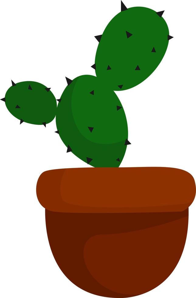 Cactus in pot, illustration, vector on white background.