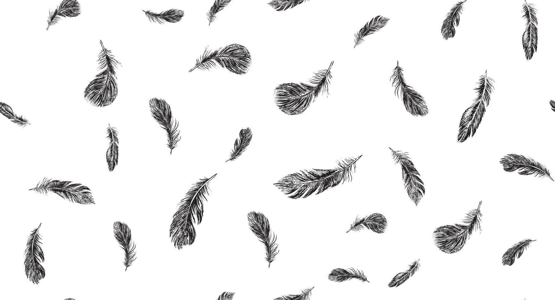 Set of bird feathers. Hand drawn sketch style. vector