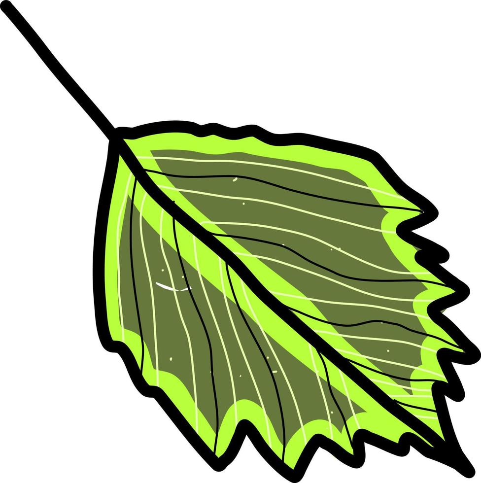 Decorative green leaf, illustration, vector on white background.