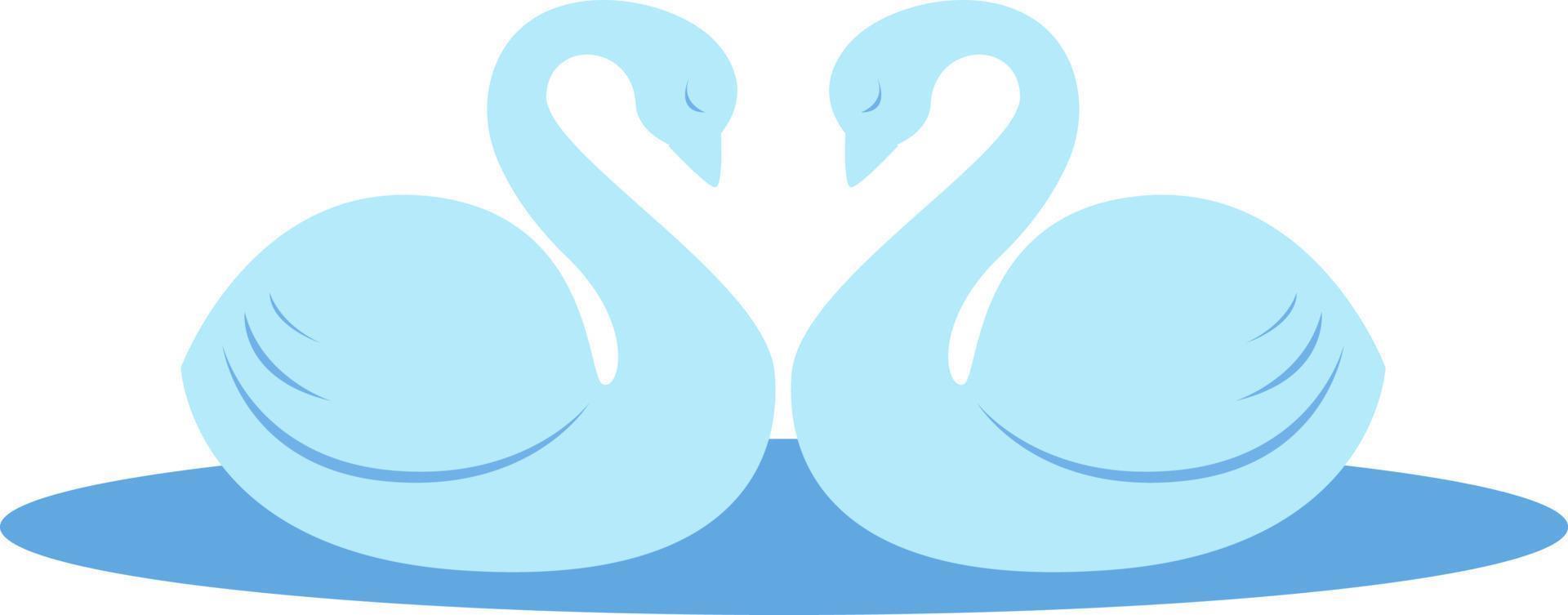 Pair of swans, illustration, vector on white background.
