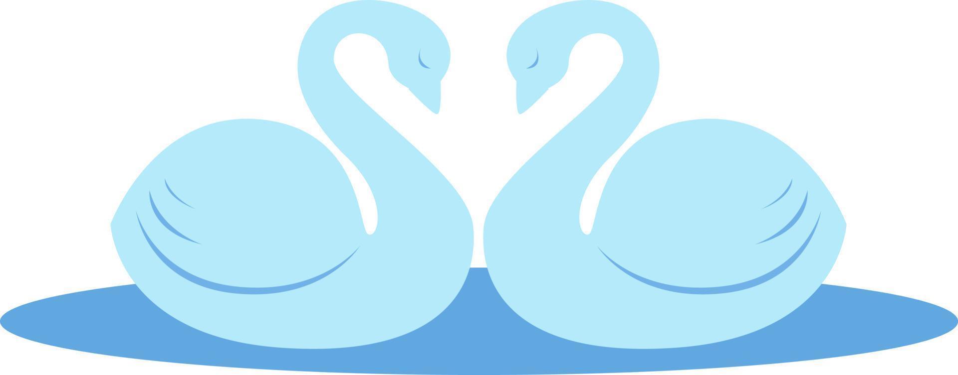 Pair of swans, illustration, vector on white background.