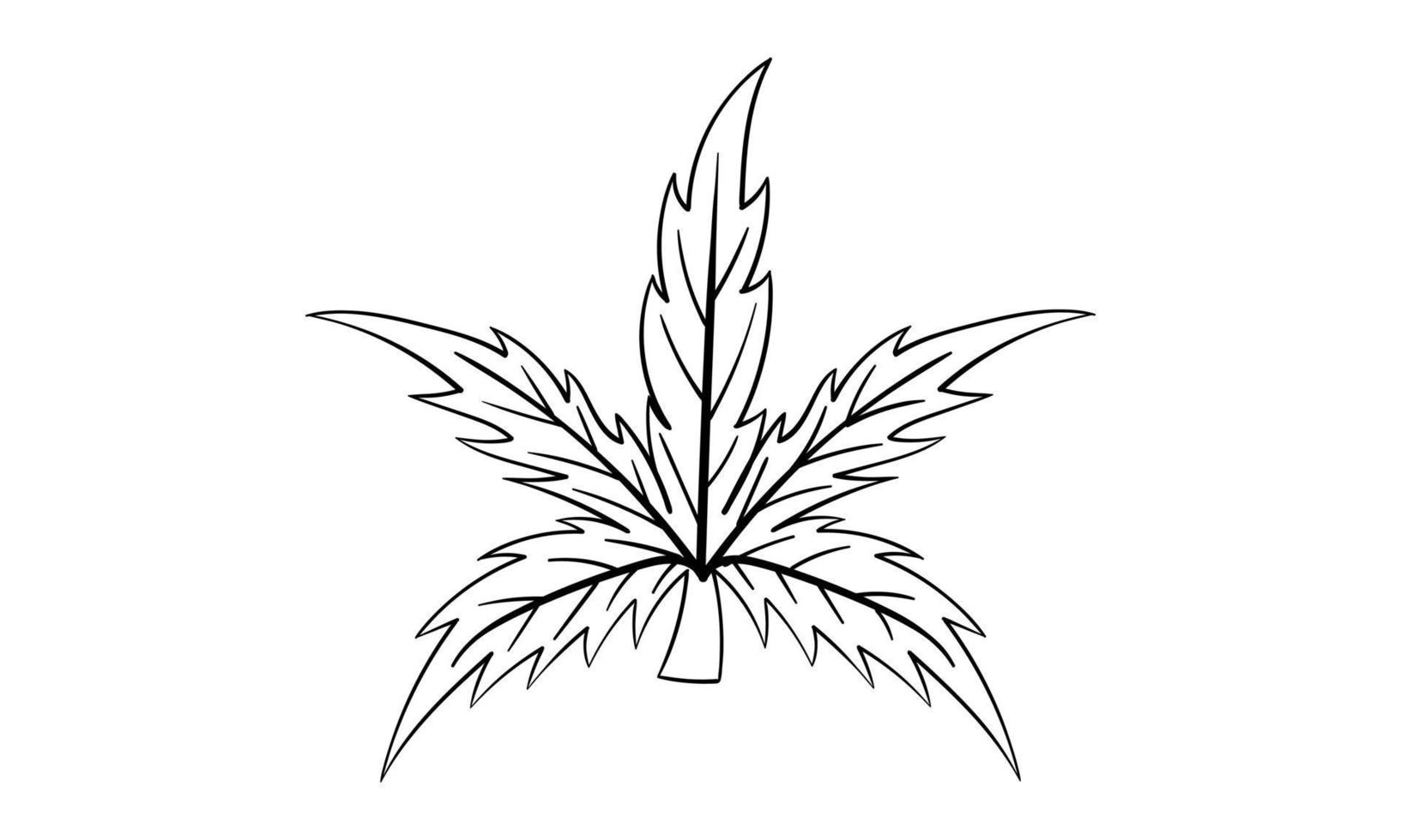 dibujado a mano ilustración de hojas vector