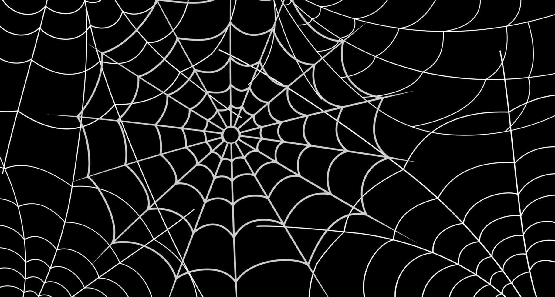 Spiderweb vector background. Isolated white cobweb on the black backgrop. Line art decor for Hallowee