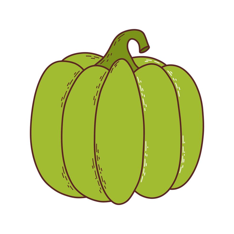 Cute pumpkin. Thanksgiving and halloween element. Vector illustration in hand drawn style