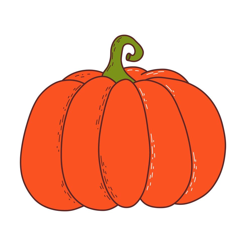 linda calabaza. elemento de acción de gracias y halloween. ilustración vectorial en estilo dibujado a mano vector