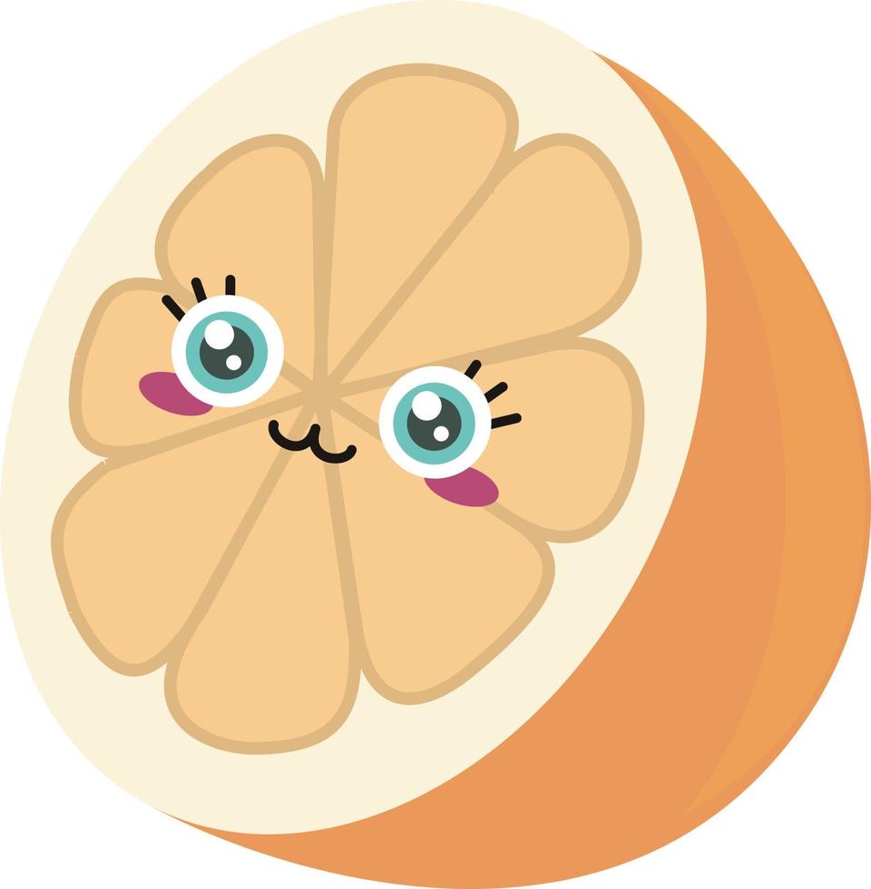 Orange in half ,illustration,vector on white background vector