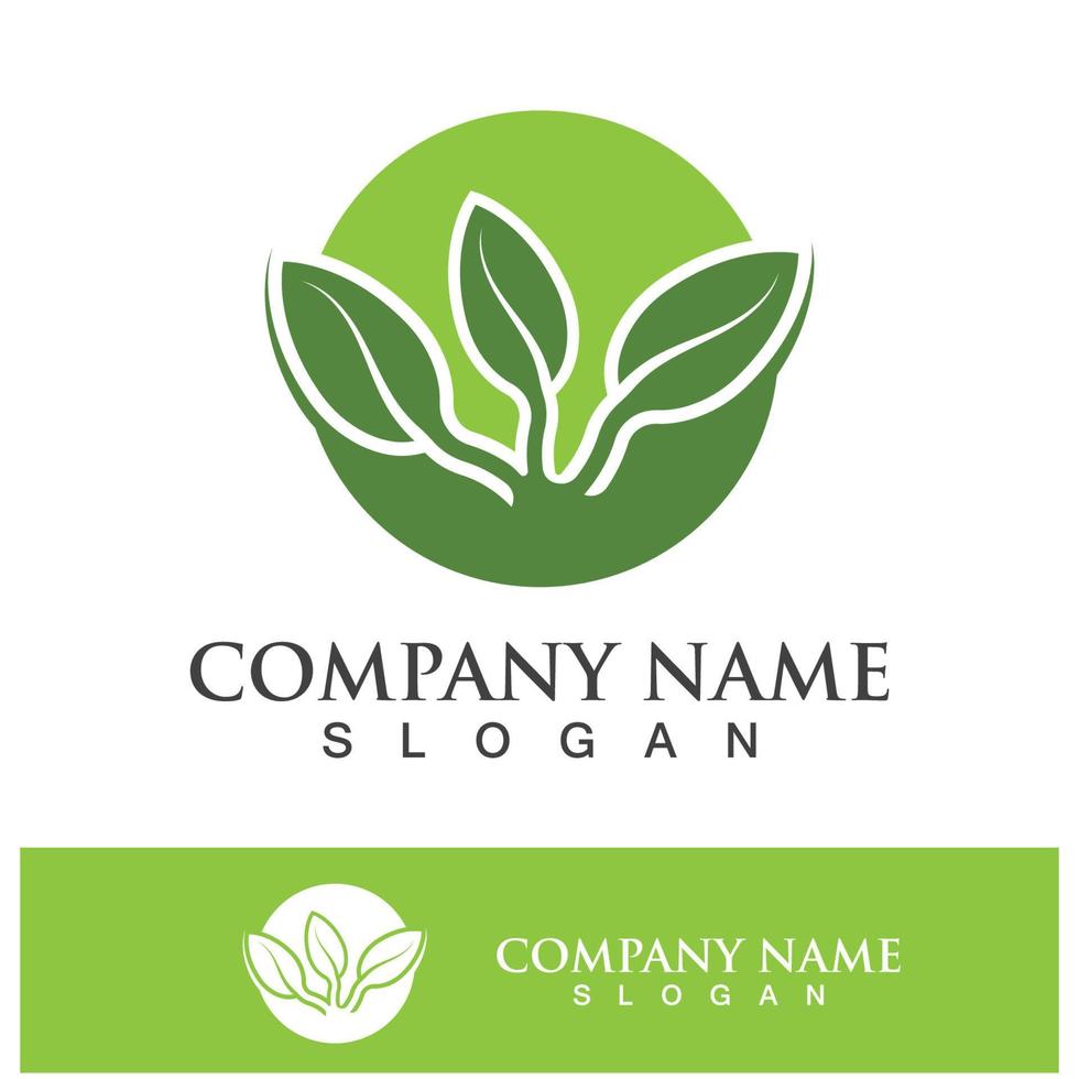 Green tree leaf nature logo images vector