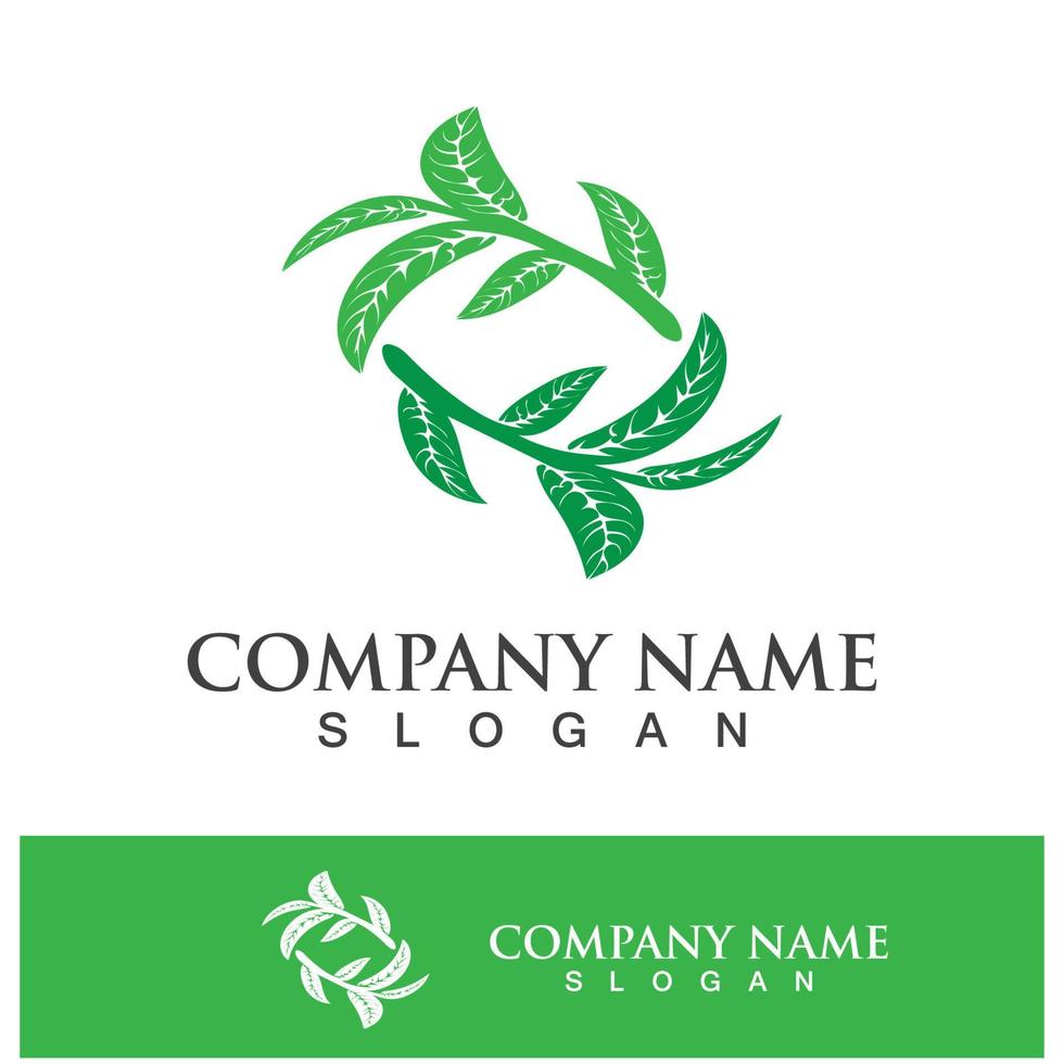 Green tree leaf nature logo images vector