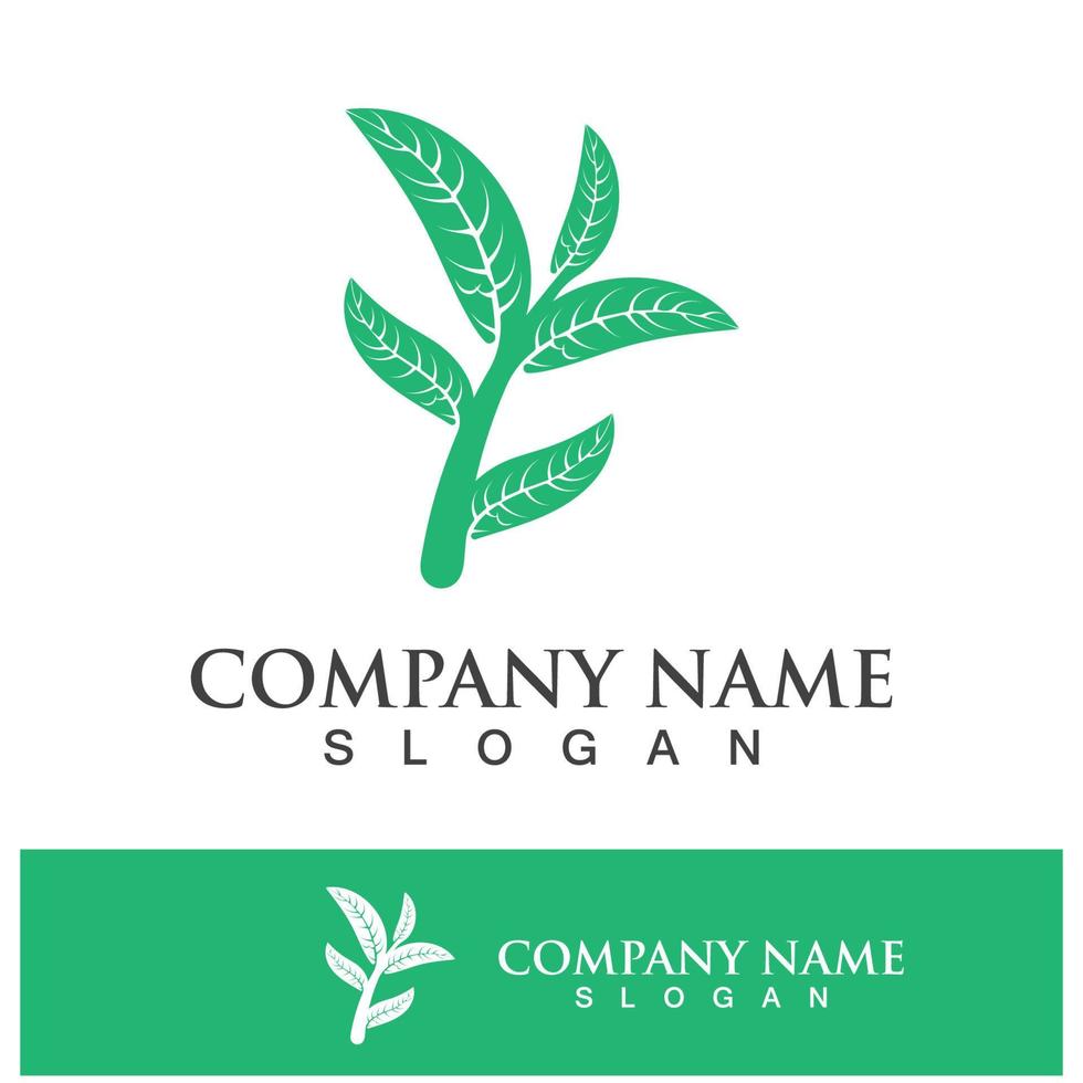 Green tree leaf nature logo images vector