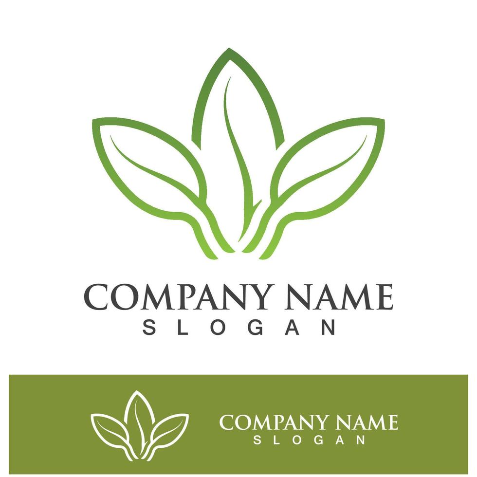 Green tree leaf nature logo images vector